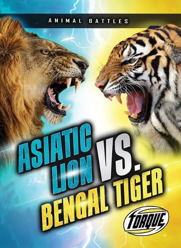 Asiatic Lion vs. Bengal Tiger