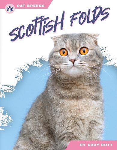 Cover image for Scottish Folds