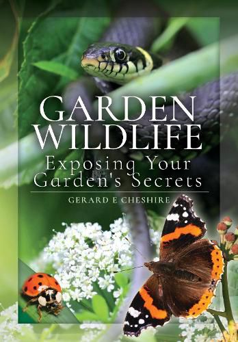 Cover image for Garden Wildlife: Exposing Your Garden's Secrets