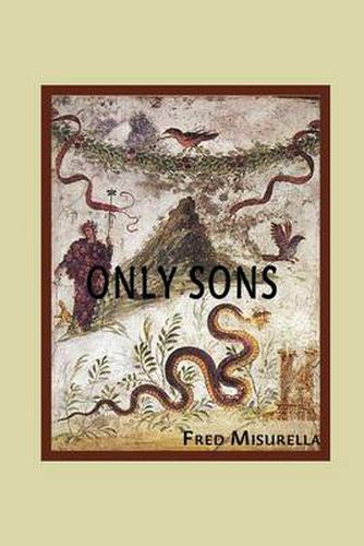 Cover image for Only Sons