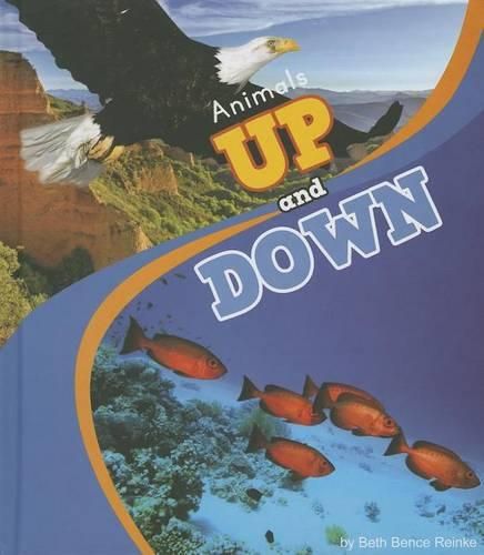 Cover image for Animals Up and Down