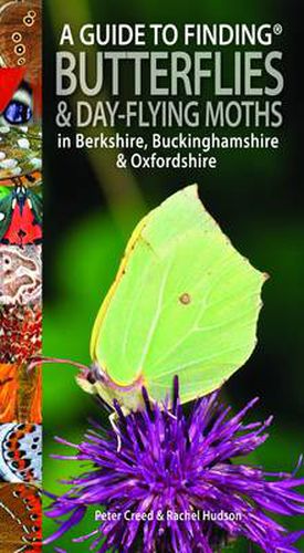 Cover image for A Guide to Finding Butterflies and Day-Flying Moths in Berkshire, Buckinghamshire and Oxfordshire