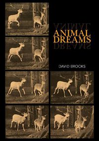 Cover image for Animal Dreams