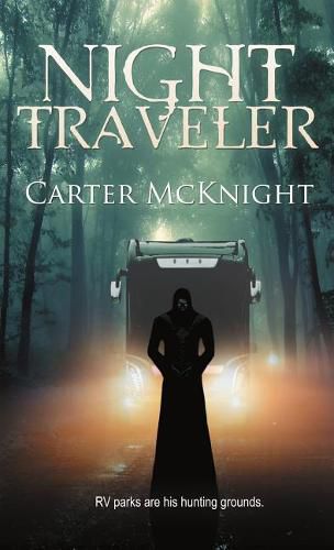 Cover image for Night Traveler