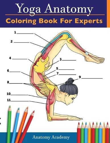 Cover image for Yoga Anatomy Coloring Book for Experts: 50+ Incredibly Detailed Self-Test Advanced Yoga Poses Color workbook Perfect Gift for Yoga Instructors, Teachers & Enthusiasts