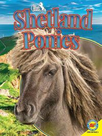 Cover image for Shetland Ponies