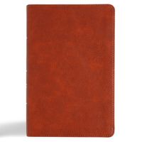 Cover image for CSB Large Print Personal Size Reference Bible, Digital Study Edition, Burnt Sienna Leathertouch, Indexed