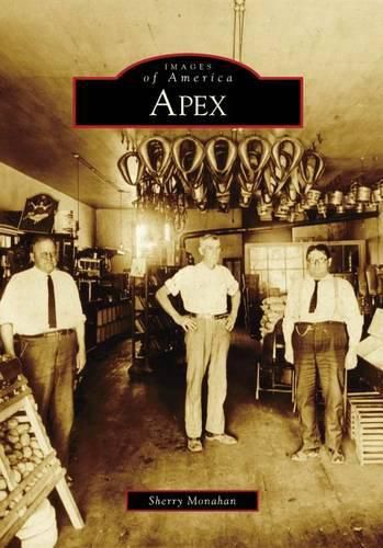 Cover image for Apex