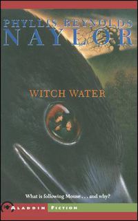 Cover image for Witch Water