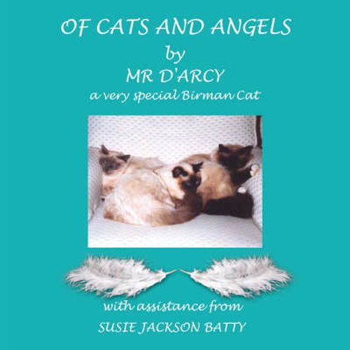 Cover image for Of Cats and Angels