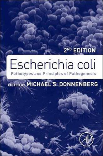 Cover image for Escherichia coli: Pathotypes and Principles of Pathogenesis