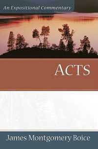 Cover image for Acts - An Expositional Commentary