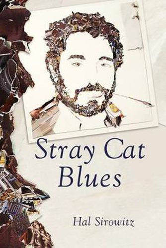 Cover image for Stray Cat Blues