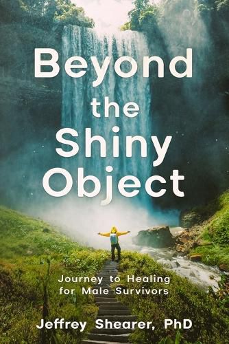 Cover image for Beyond the Shiny Object