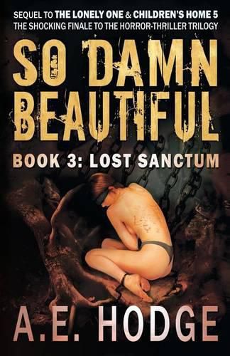 Cover image for So Damn Beautiful: Lost Sanctum