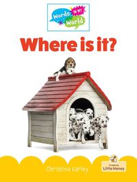 Cover image for Where Is It?