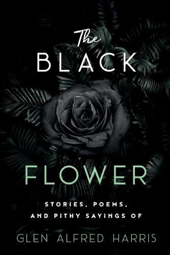 Cover image for The Black Flower