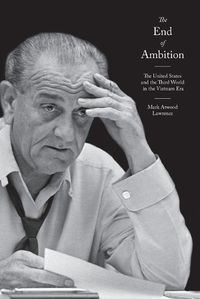 Cover image for The End of Ambition