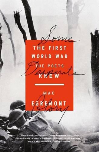 Cover image for Some Desperate Glory: The First World War the Poets Knew