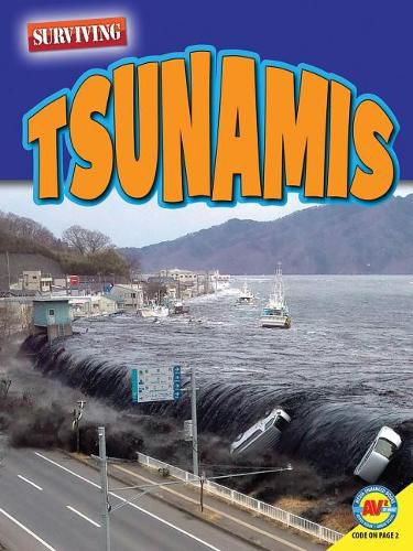 Cover image for Tsunamis