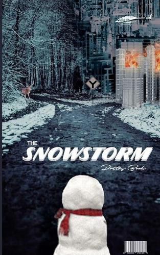 Cover image for The SnowStorm