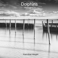 Cover image for Dolphins - Volume 4