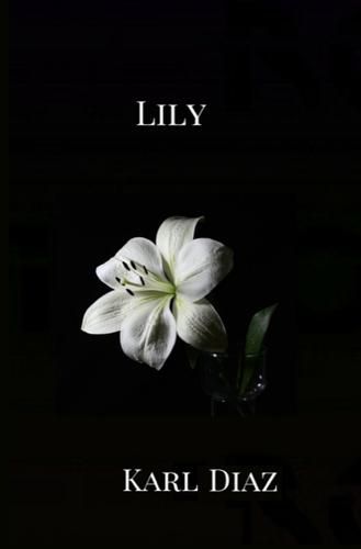 Cover image for Lily