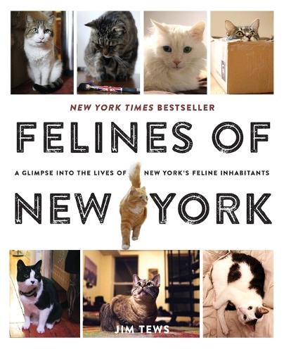 Cover image for Felines of New York: A Glimpse Into the Lives of New York's Feline Inhabitants