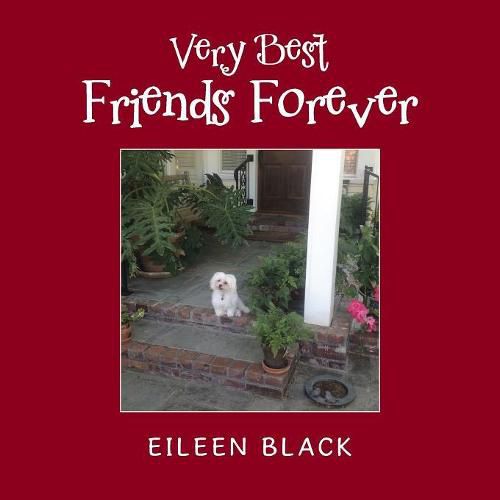 Cover image for Very Best Friends Forever