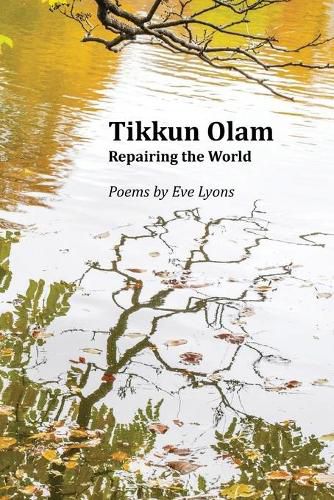 Cover image for Tikkun Olam: Repairing the World