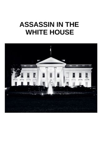Cover image for Assassin in The White House