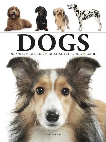 Cover image for Dogs