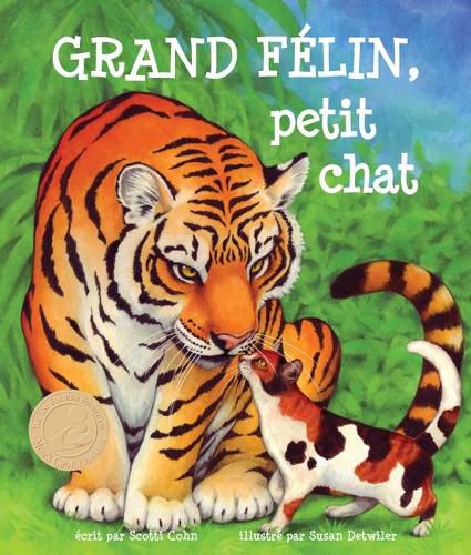 Cover image for Grand Felin, Petit Chat: (big Cat, Little Kitty in French)