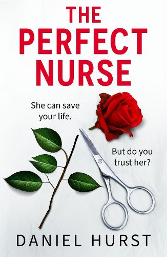 Cover image for The Perfect Nurse