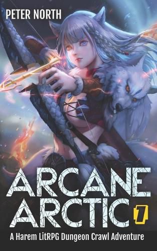 Cover image for Arcane Arctic