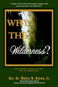 Cover image for Why the Wilderness?: God Sends Angels After We Go Through!