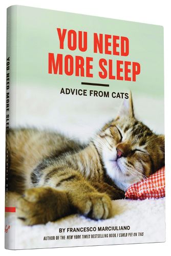 Cover image for You Need More Sleep: Advice From Cats