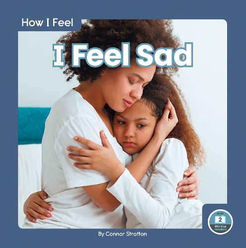 Cover image for How I Feel: I Feel Sad