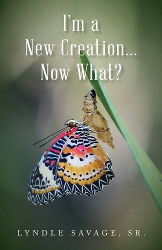 Cover image for I'm a New Creation... Now What?