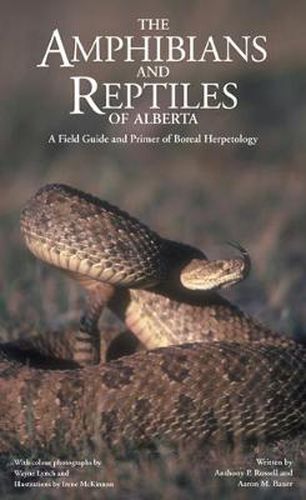 Cover image for The Amphibians and Reptiles of Alberta: A Field Guide and Primer of Boreal Herpetology