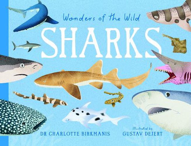 Cover image for Wonders of the Wild: Sharks