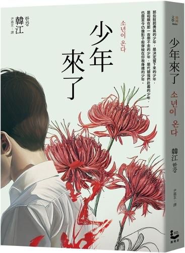 Cover image for Here Comes the Boy