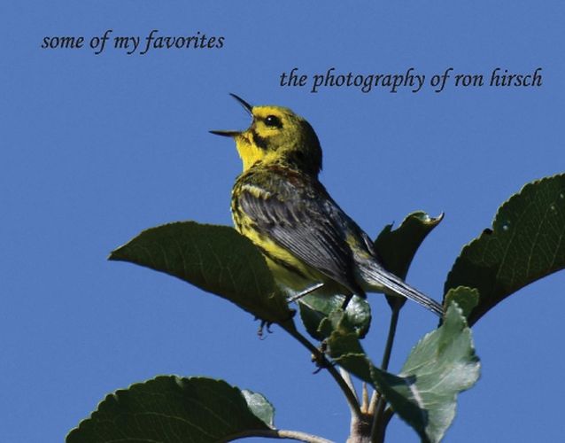 Cover image for some of my favorites