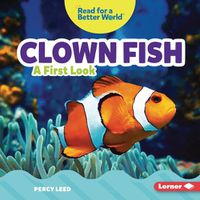 Cover image for Clown Fish: A First Look