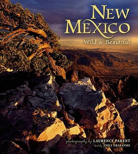 Cover image for New Mexico Wild & Beautiful