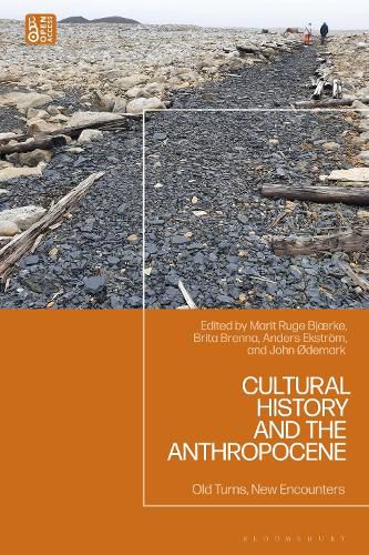 Cover image for Cultural History and the Anthropocene