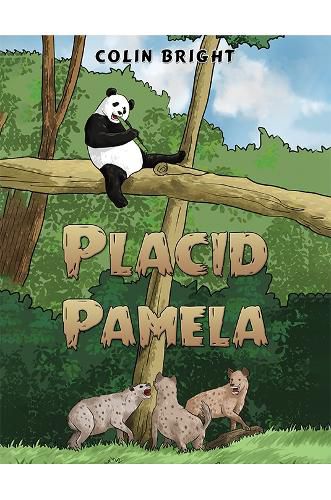 Cover image for Placid Pamela