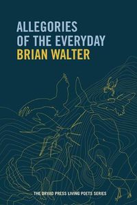 Cover image for Allegories of the Everyday