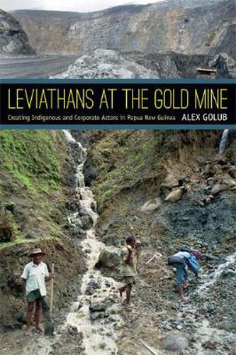 Cover image for Leviathans at the Gold Mine: Creating Indigenous and Corporate Actors in Papua New Guinea