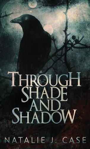 Cover image for Through Shade And Shadow